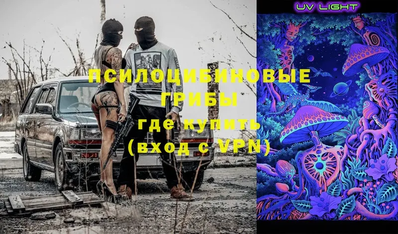 Псилоцибиновые грибы Psilocybe  Электрогорск 